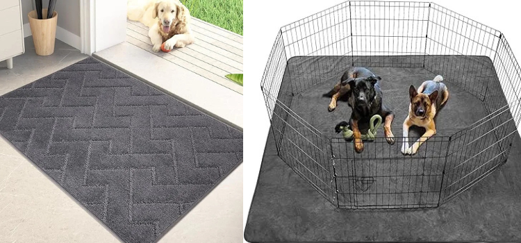 Best Top 6 Area Rugs For Pets - 2025