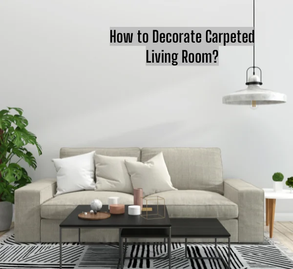 How to Decorate  Carpeted Living Room